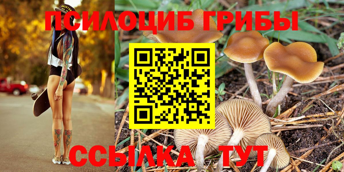 Галлюциногенные грибы мухоморы  Вход с VPN  Галлюциногенные грибы Psilocybe  Стрежевой 